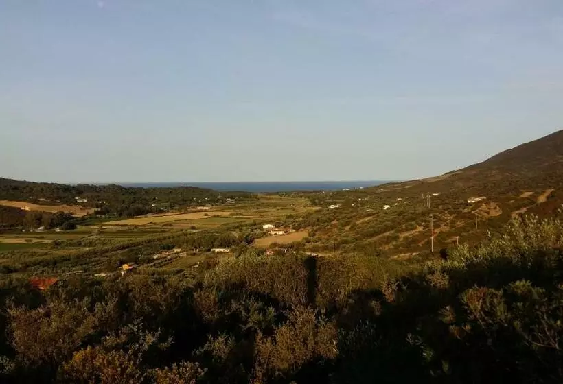 Hotelli Majori