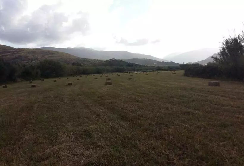 Hotelli Majori