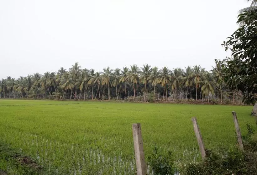 Hotelli Somisetty Landmark