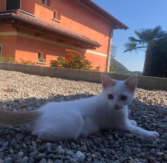 פנסיון Casa Ilaria