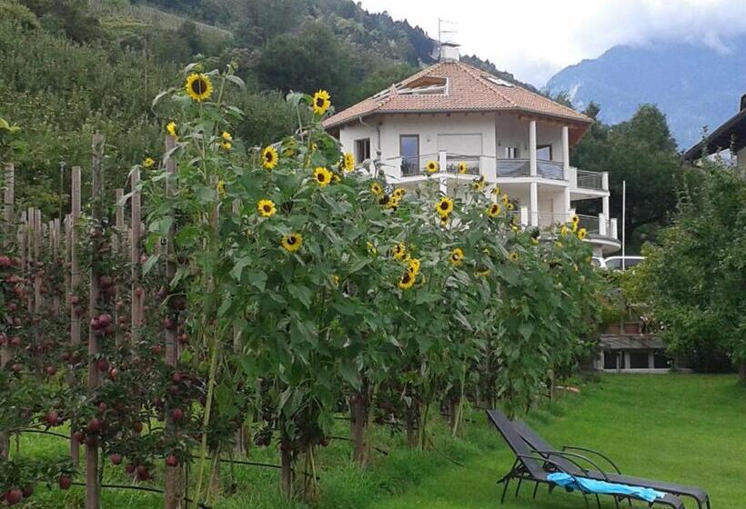 پانسیون Chalet Anna