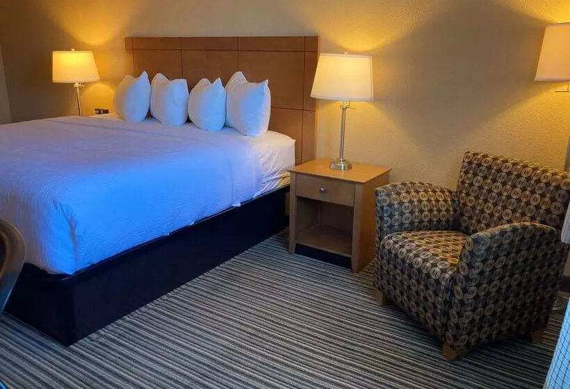 酒店 Best Western Plus Reading Inn & Suites