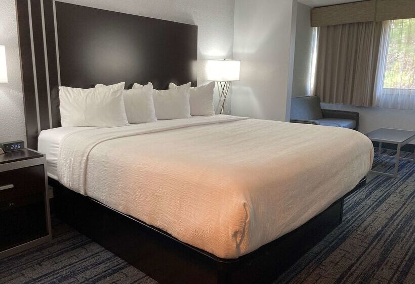 בית מלון כפרי Best Western Plus Reading Inn & Suites