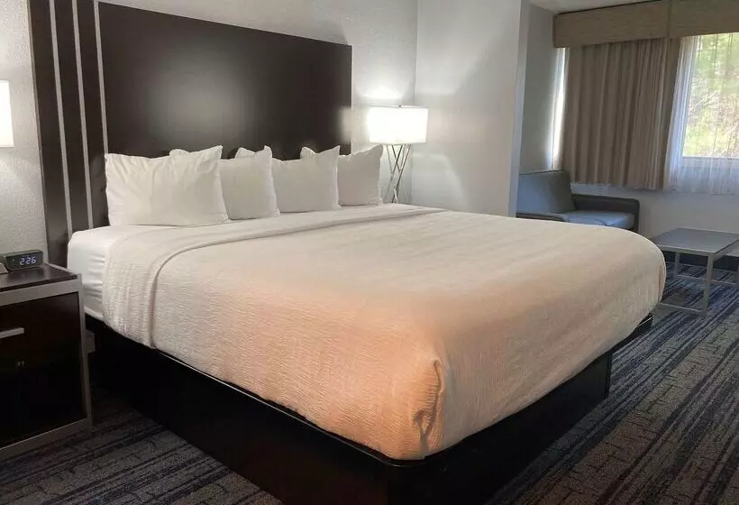 酒店 Best Western Plus Reading Inn & Suites