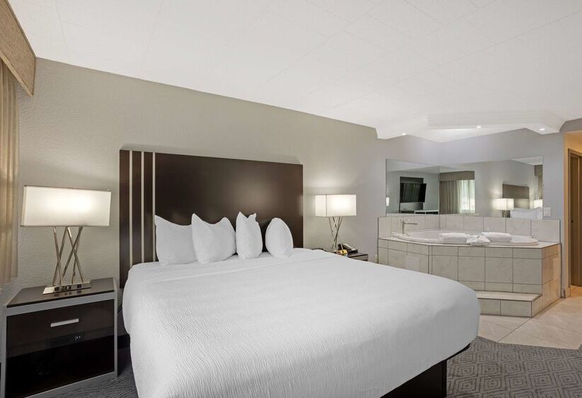 בית מלון כפרי Best Western Plus Reading Inn & Suites