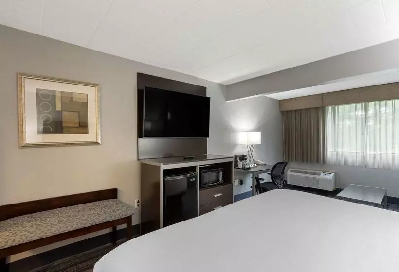 酒店 Best Western Plus Reading Inn & Suites