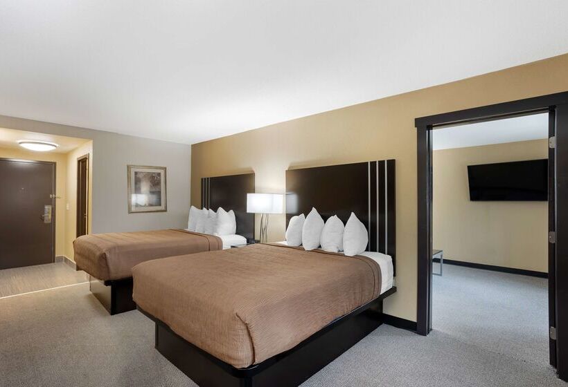 בית מלון כפרי Best Western Plus Reading Inn & Suites