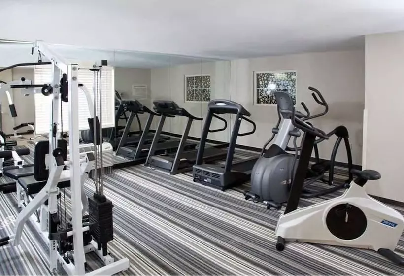 酒店 Candlewood Suites Sayre, An Ihg