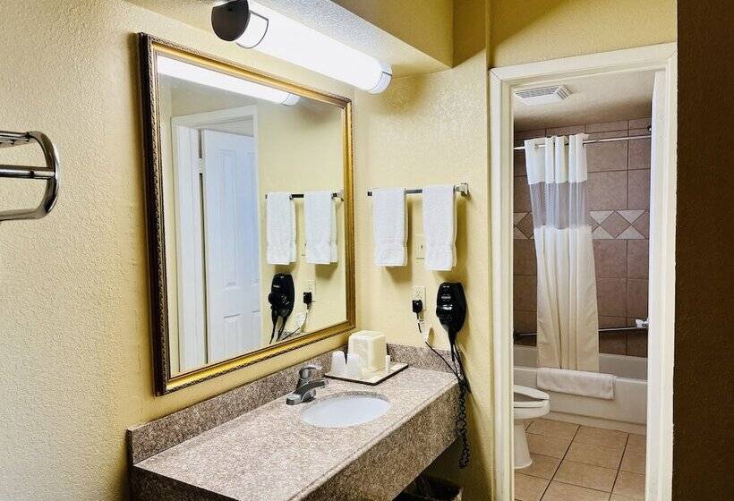 酒店 Econo Lodge Del Rio