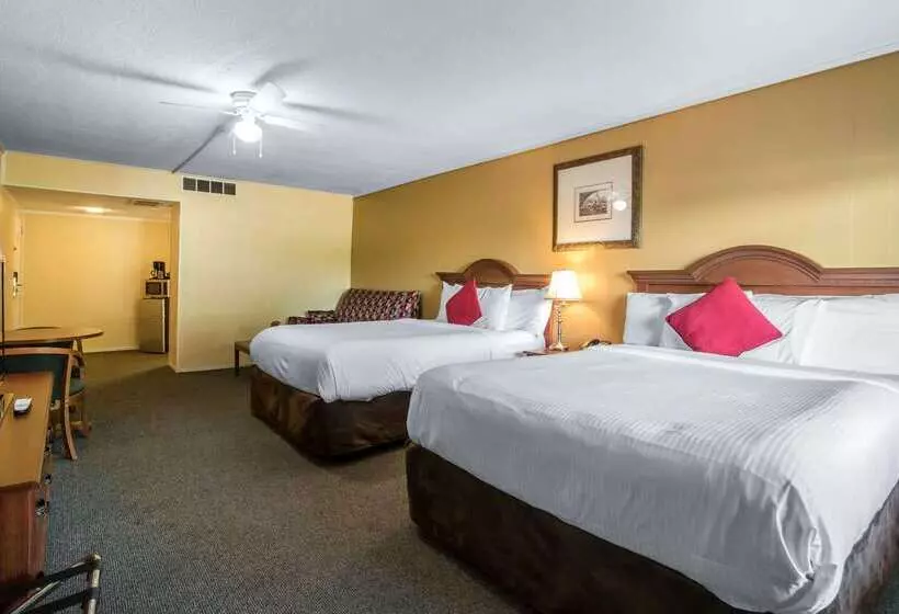 酒店 Econo Lodge Inn & Suites