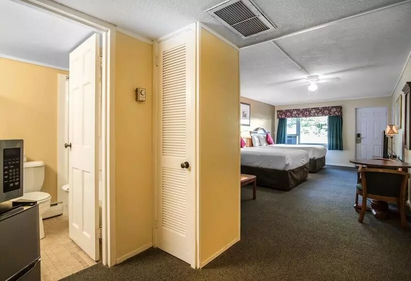 酒店 Econo Lodge Inn & Suites