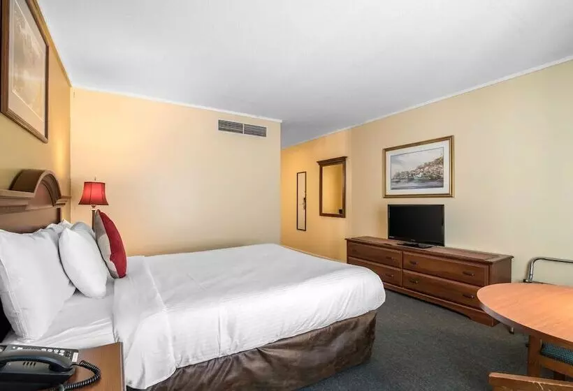 酒店 Econo Lodge Inn & Suites