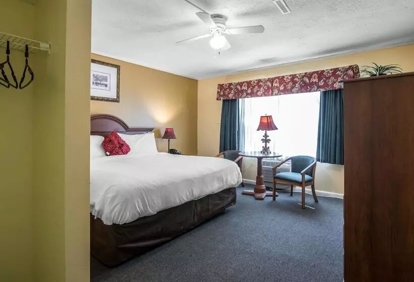 酒店 Econo Lodge Inn & Suites