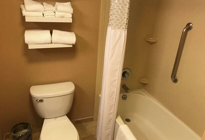 Отель Hampton Inn & Suites Bloomingtonnormal