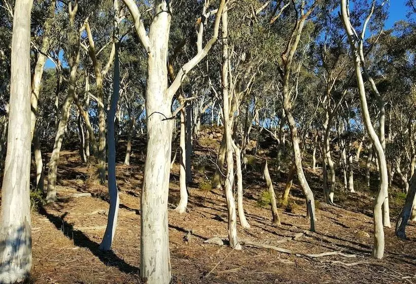 Hotelli Maya Sanctuary