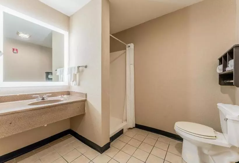 Отель Super 8 By Wyndham Lake Charles Northeast