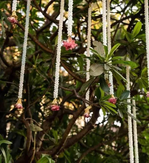 Отель Taj Wellington Mews