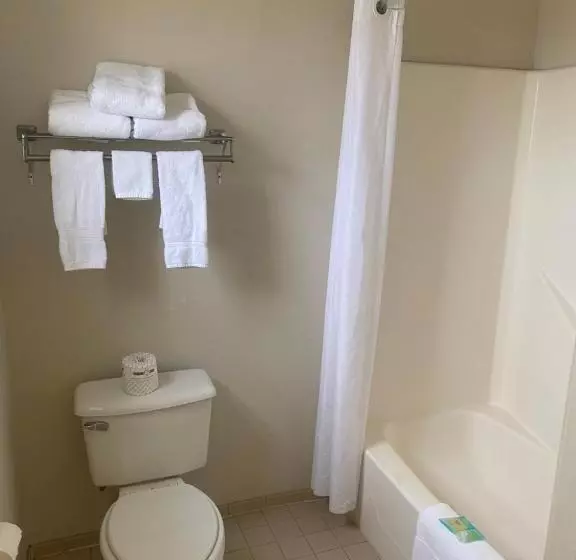 فندق على الطريق Welcome Inn