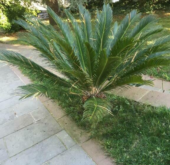 مبيت وإفطار Casa Blù