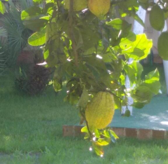 Bed and Breakfast Casa Nunna