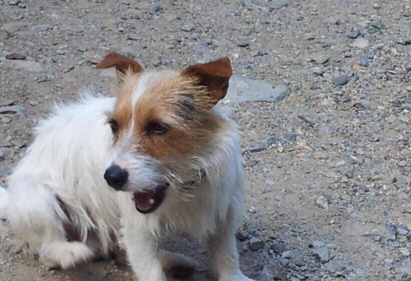 צימר Chambre D Hôte Chez Antoinette Et Charles