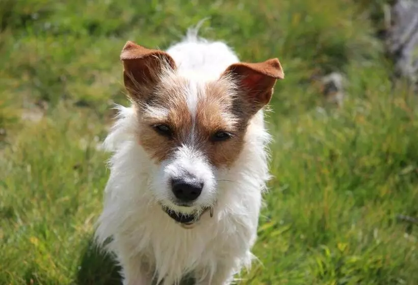 Aamiaismajoitus (B&B) Chambre D Hôte Chez Antoinette Et Charles