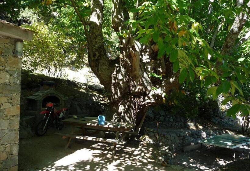 צימר Chambre D Hôte Chez Antoinette Et Charles