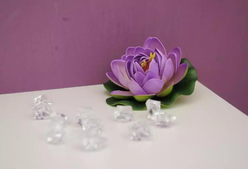 Aamiaismajoitus (B&B) Magic Rainbow