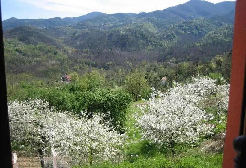 ホテル Agriturismo Casalino
