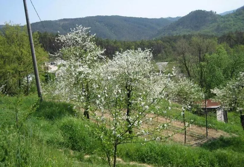 ホテル Agriturismo Casalino
