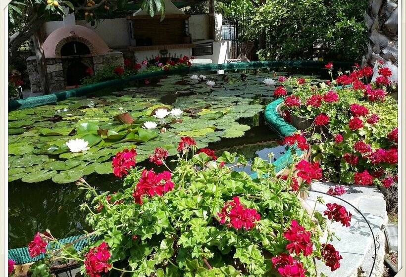 Exclusive Cottage In S West Crete In A Quiet Olive Grove Near The Sea