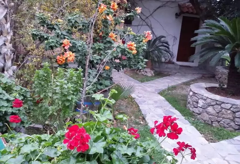 Exclusive Cottage In S West Crete In A Quiet Olive Grove Near The Sea