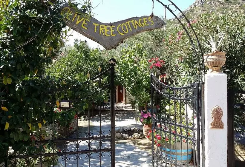 Exclusive Cottage In S West Crete In A Quiet Olive Grove Near The Sea