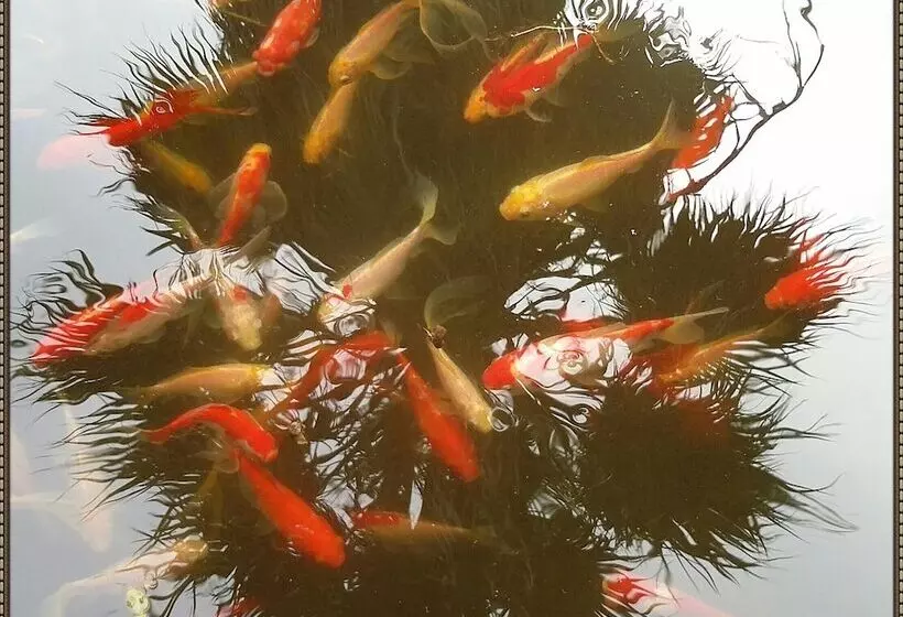 Exclusive Cottage In S West Crete In A Quiet Olive Grove Near The Sea