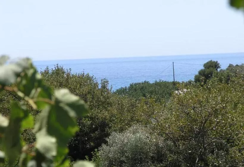 Exclusive Cottage In S West Crete In A Quiet Olive Grove Near The Sea