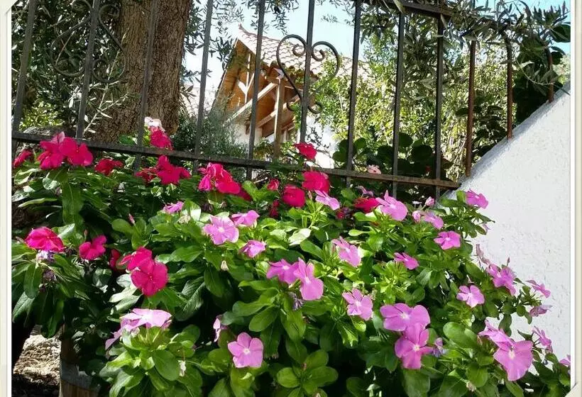 Exclusive Cottage In S West Crete In A Quiet Olive Grove Near The Sea