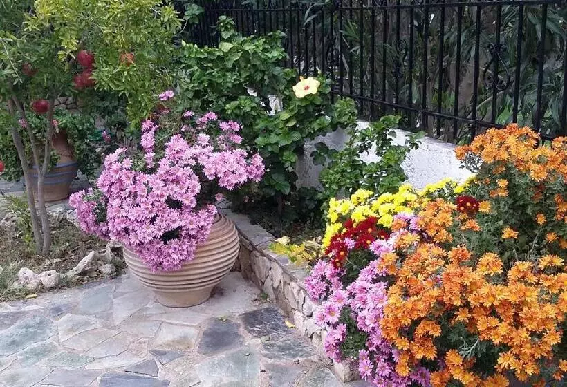 Exclusive Cottage In S West Crete In A Quiet Olive Grove Near The Sea