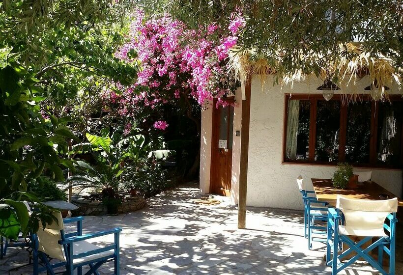 Exclusive Cottage In S West Crete In A Quiet Olive Grove Near The Sea