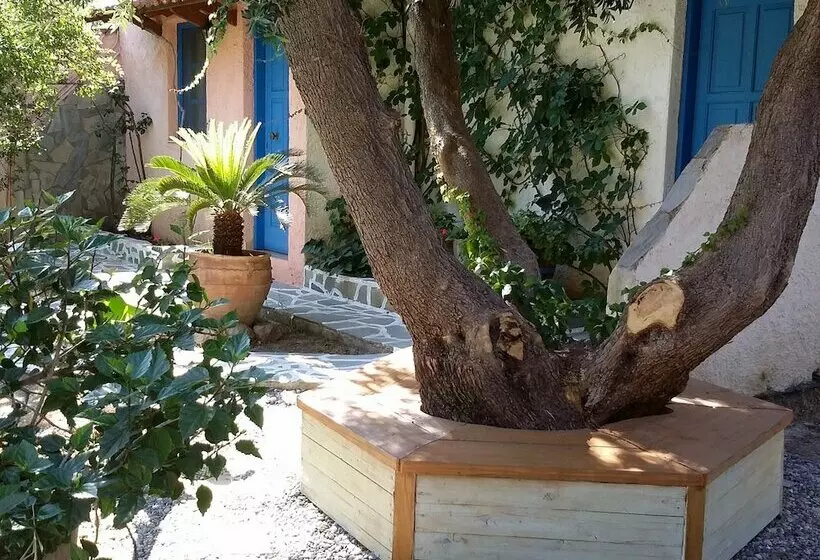 Exclusive Cottage In S West Crete In A Quiet Olive Grove Near The Sea