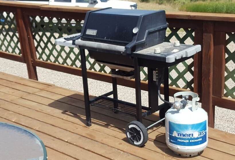 Wild Skies Cabin Rentals In Craig