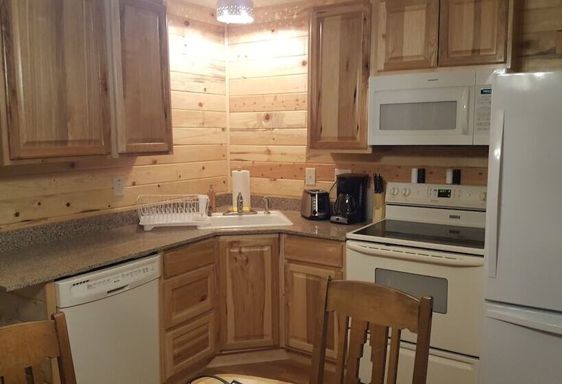 Wild Skies Cabin Rentals In Craig