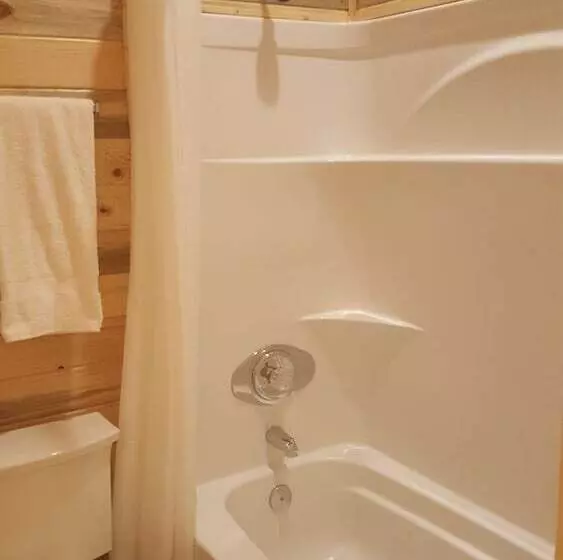 Wild Skies Cabin Rentals In Craig