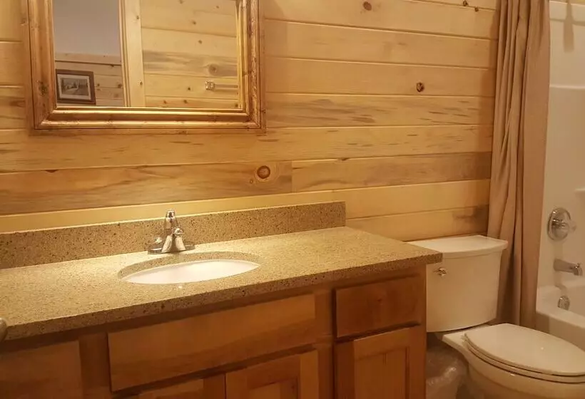 Wild Skies Cabin Rentals In Craig