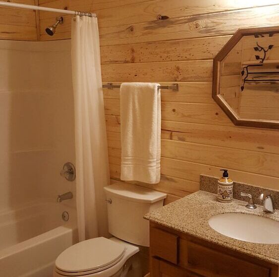 Wild Skies Cabin Rentals In Craig