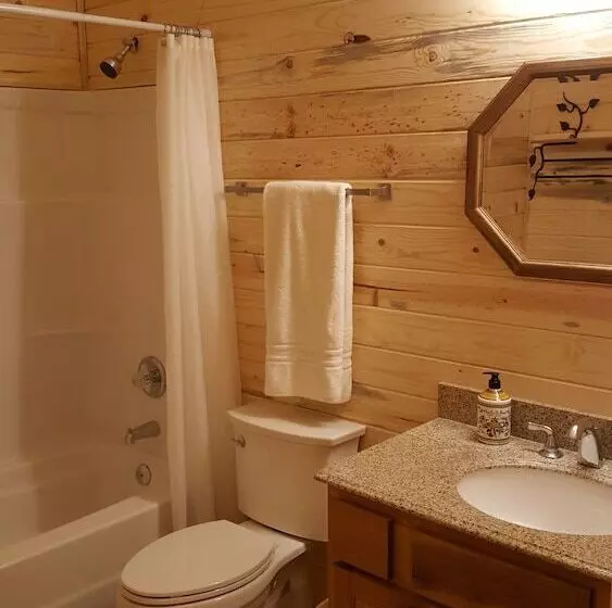 Wild Skies Cabin Rentals In Craig