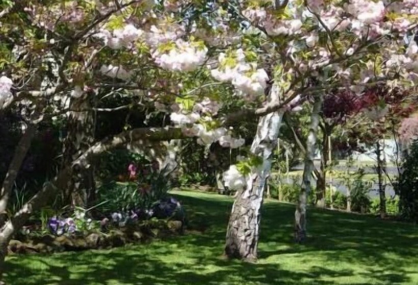 ベッドアンドブレックファースト Mourilyan House