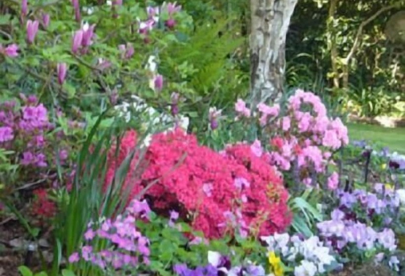 ベッドアンドブレックファースト Mourilyan House