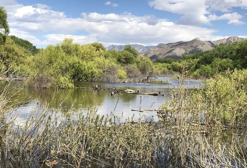 Мотель Piazza S Pine Cone Inn