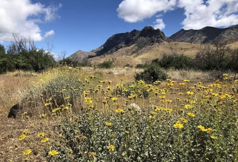 Motelli Piazza S Pine Cone Inn