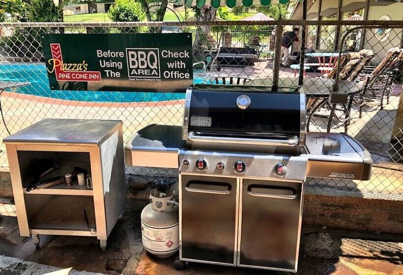 Мотель Piazza S Pine Cone Inn